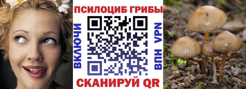 Псилоцибиновые грибы Magic Shrooms  MEGA ССЫЛКА  Руза 